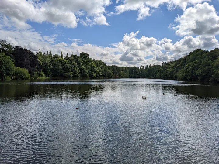 Lymm Dam with trees along the banks and clouds reflected in the water
